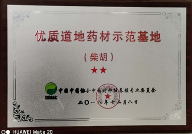 山東成順堂中醫藥科技有限公司柴胡種植基地(dì / de)榮獲“優質道(dào)地(dì / de)藥材示範基地(dì / de)”